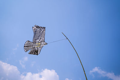 Low angle view of butterfly