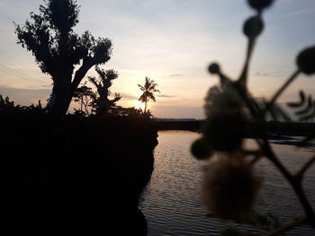 Silhouette trees by lake against sky during sunset