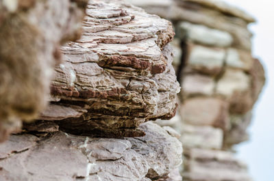 Close-up of rock