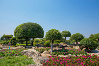 Scenic view of field against clear blue sky