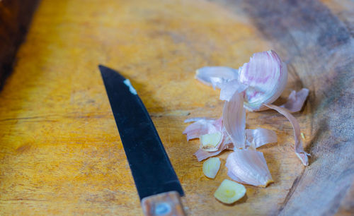 High angle view of white flower on table