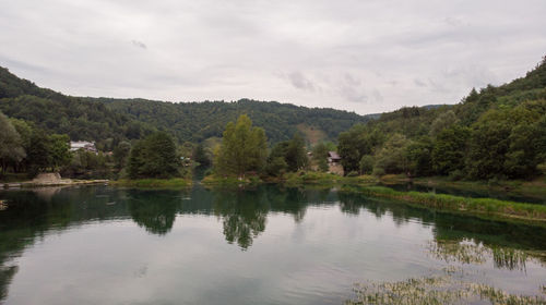 Scenic view of lake by trees against sky