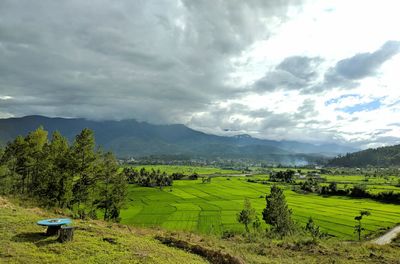 Scenic view of agricultural field against sky