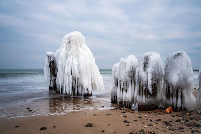 Close-up of frozen on beach against sky