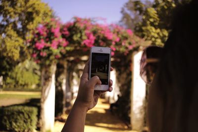 Close-up of woman photographing with mobile phone at park