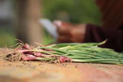 Red onion placed on table.