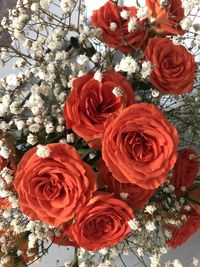 Close-up of rose bouquet