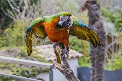 Bird perching on a branch