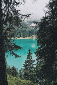 Reflection of trees in water against sky