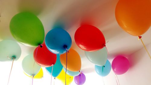 Low angle view of multi colored balloons against wall