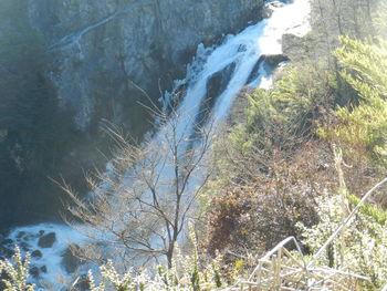 Scenic view of waterfall