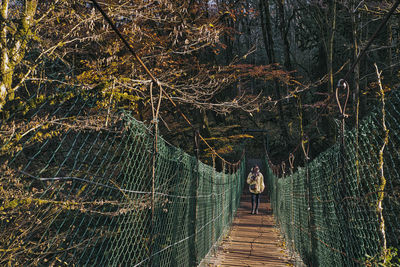 View of footbridge in forest