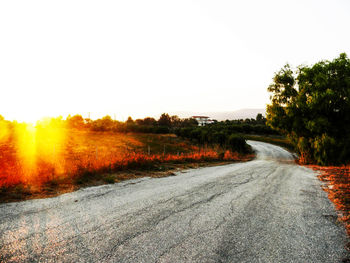 Country road along trees