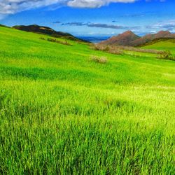 Scenic view of grassy field against cloudy sky