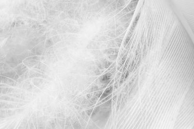 Full frame shot of abstract pattern