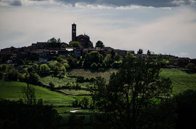 Trees and buildings against sky