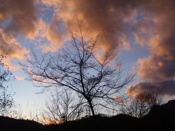 Low angle view of silhouette trees against sky at sunset