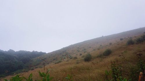 Scenic view of landscape against clear sky