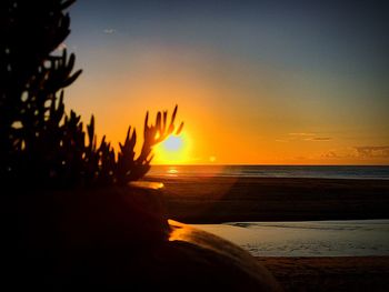 Close-up of beach against sky during sunset