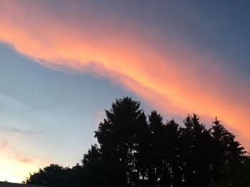 Low angle view of silhouette trees against sky during sunset