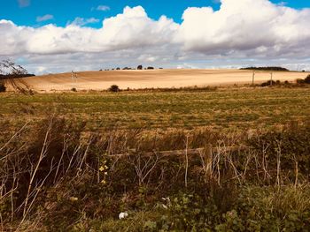 Scenic view of field against sky