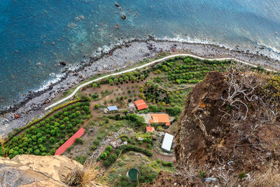 High angle view of trees by sea