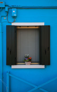 Potted plants on window of building