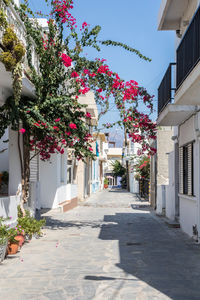 View of alley amidst buildings