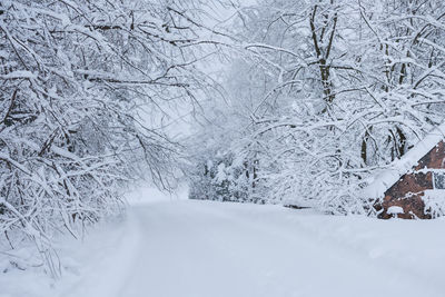 Snow covered landscape