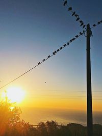 Silhouette birds against sky during sunset