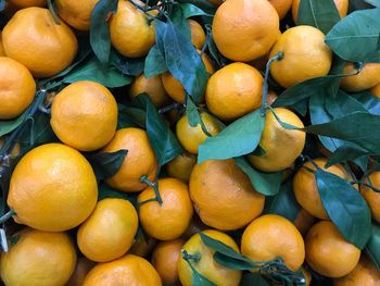 Full frame shot of fruits for sale at market stall