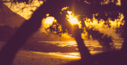 Silhouette trees by sea against sky during sunset