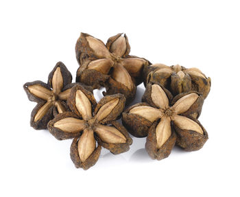 Close-up of garlic against white background