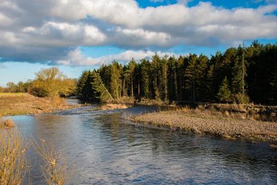 Scenic view of lake in forest against sky