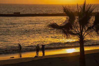 Silhouette people on beach against sky during sunset