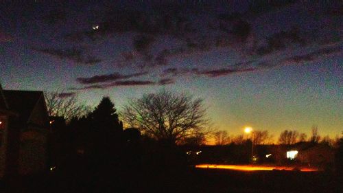 Silhouette of trees at night