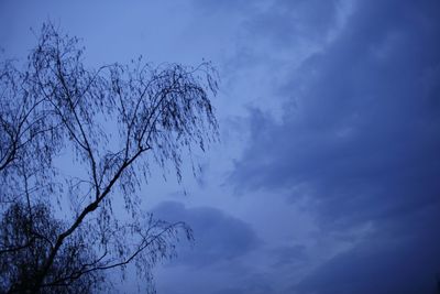 Low angle view of silhouette tree against sky