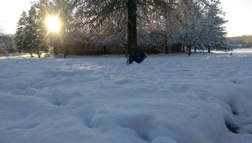 Sun shining over snow covered landscape
