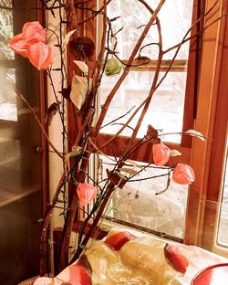 Close-up of vase on window sill