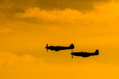 Formation flight at dusk.