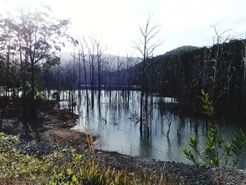 Scenic view of lake against sky