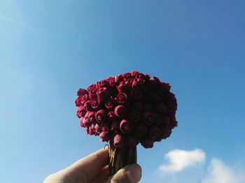 Close-up of hand holding flower