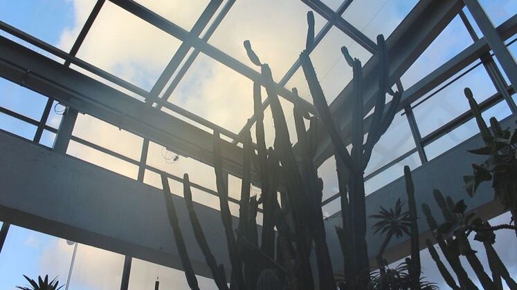 low angle view, built structure, architecture, sky, glass - material, metal, day, connection, no people, indoors, sunlight, metallic, ceiling, grid, window, pattern, cloud - sky, blue, building exterior