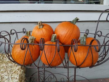 Close-up view of pumpkins against wall