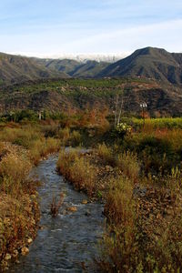 Scenic view of landscape against sky