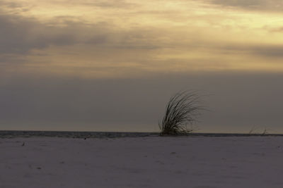 Scenic view of beach against sky during sunset