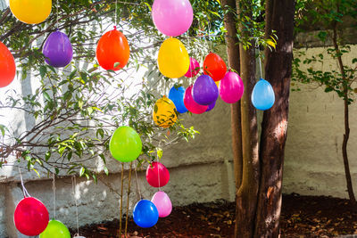 Close-up of multi colored balloons hanging on tree