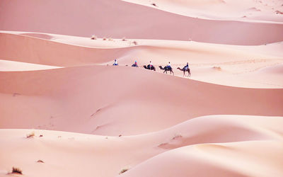 People riding camels in desert