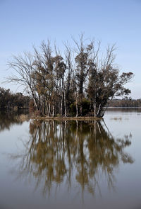 Scenic view of lake against clear sky