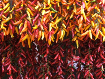 Full frame shot of red chili peppers